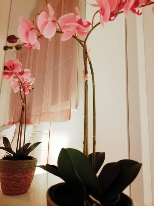 Appartement Cosy Plein Centre 니스 외부 사진